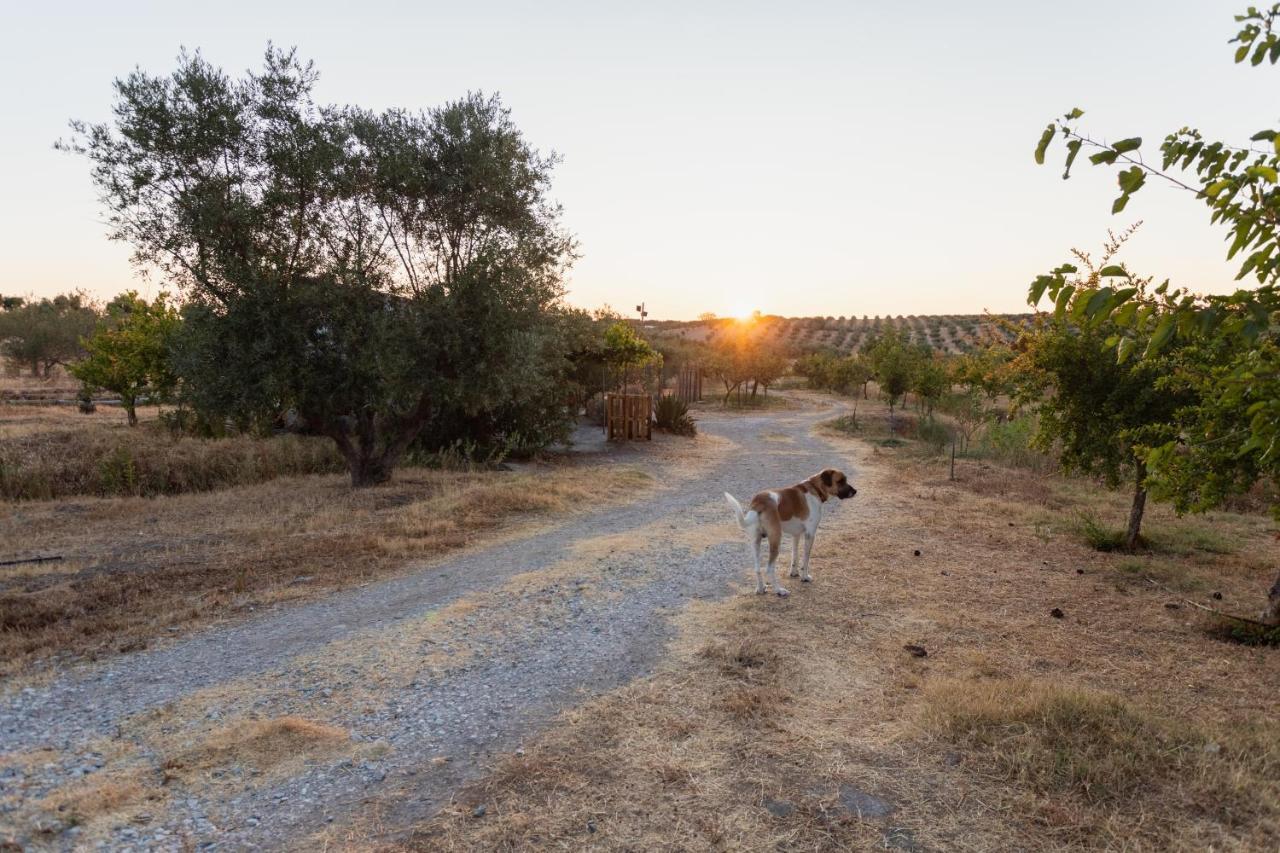 Monte Da Estrela - Country House & Spa Moura Exterior photo